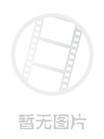 侠盗之星
